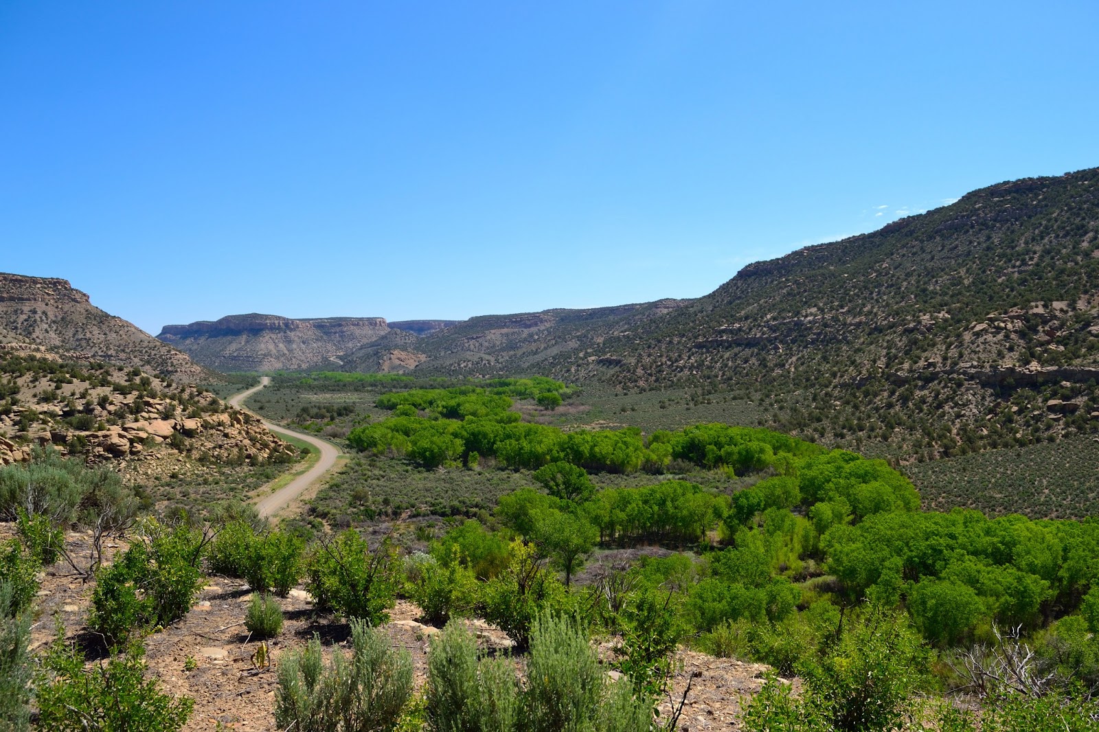 Hiking and Camping Southwest Colorado Mancos Canyon