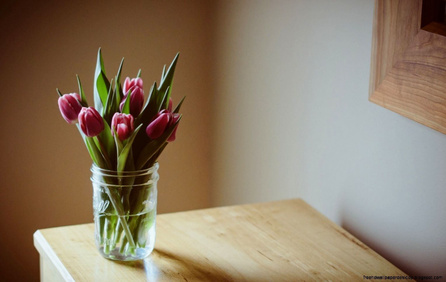 Flowers Purple Tulip Vase HD Wallpaper FreeWallsUp Flowers Purple Tulip Vase HD Wallpaper FreeWallsUp