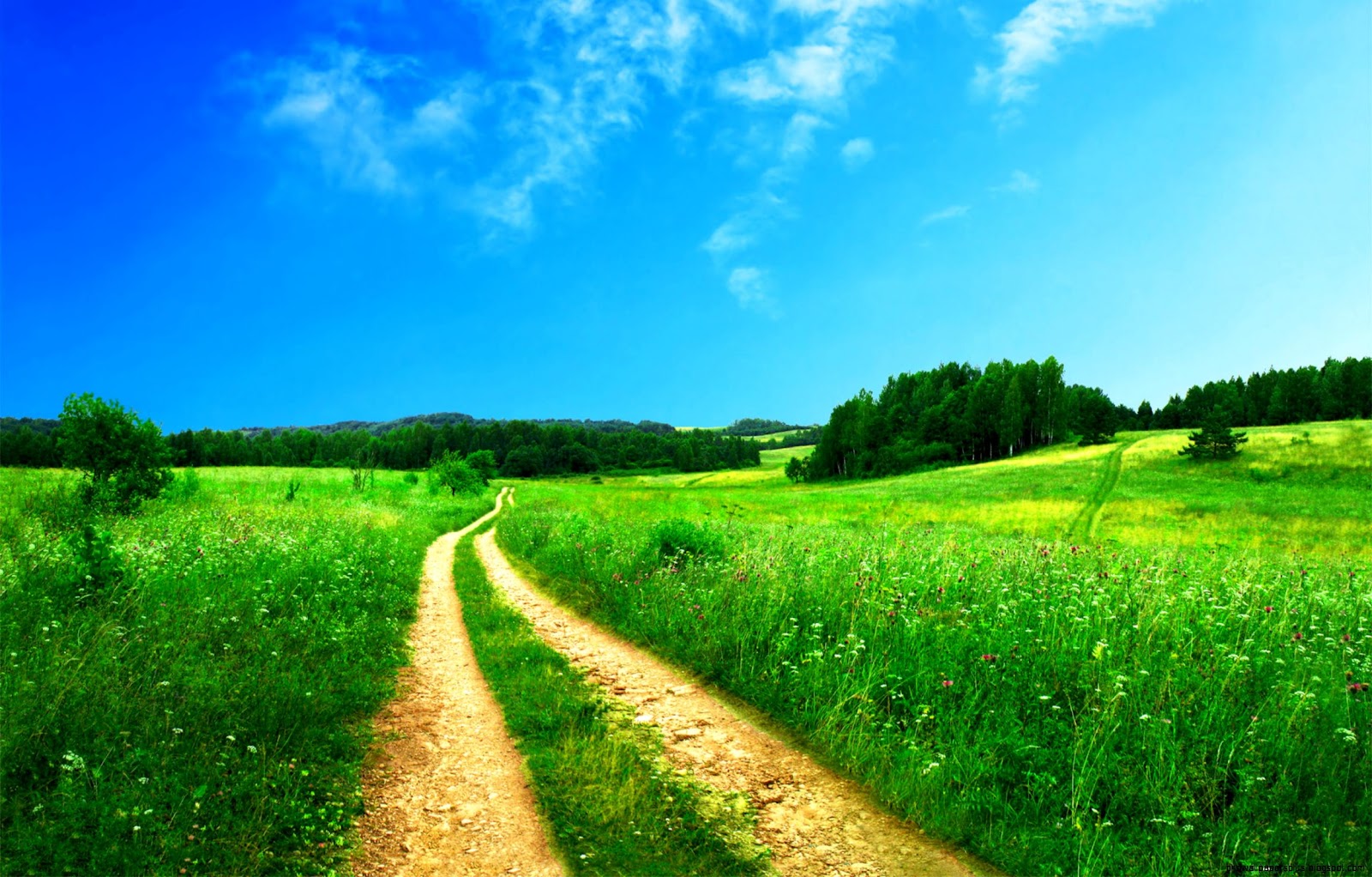 Beautiful Nature Scenery Beautiful Nature Scenery