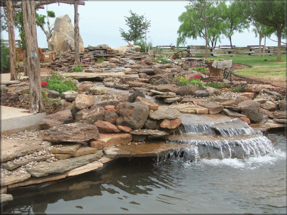 Garden Pond: garden pond liners
