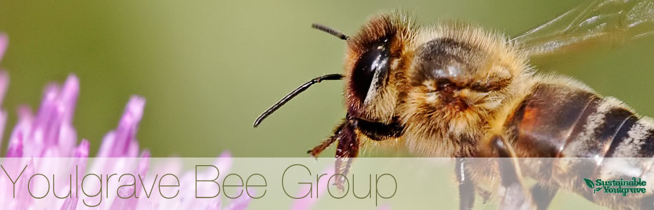 .:. Youlgrave Village Beekeepers - Peak District - Derbyshire .:.