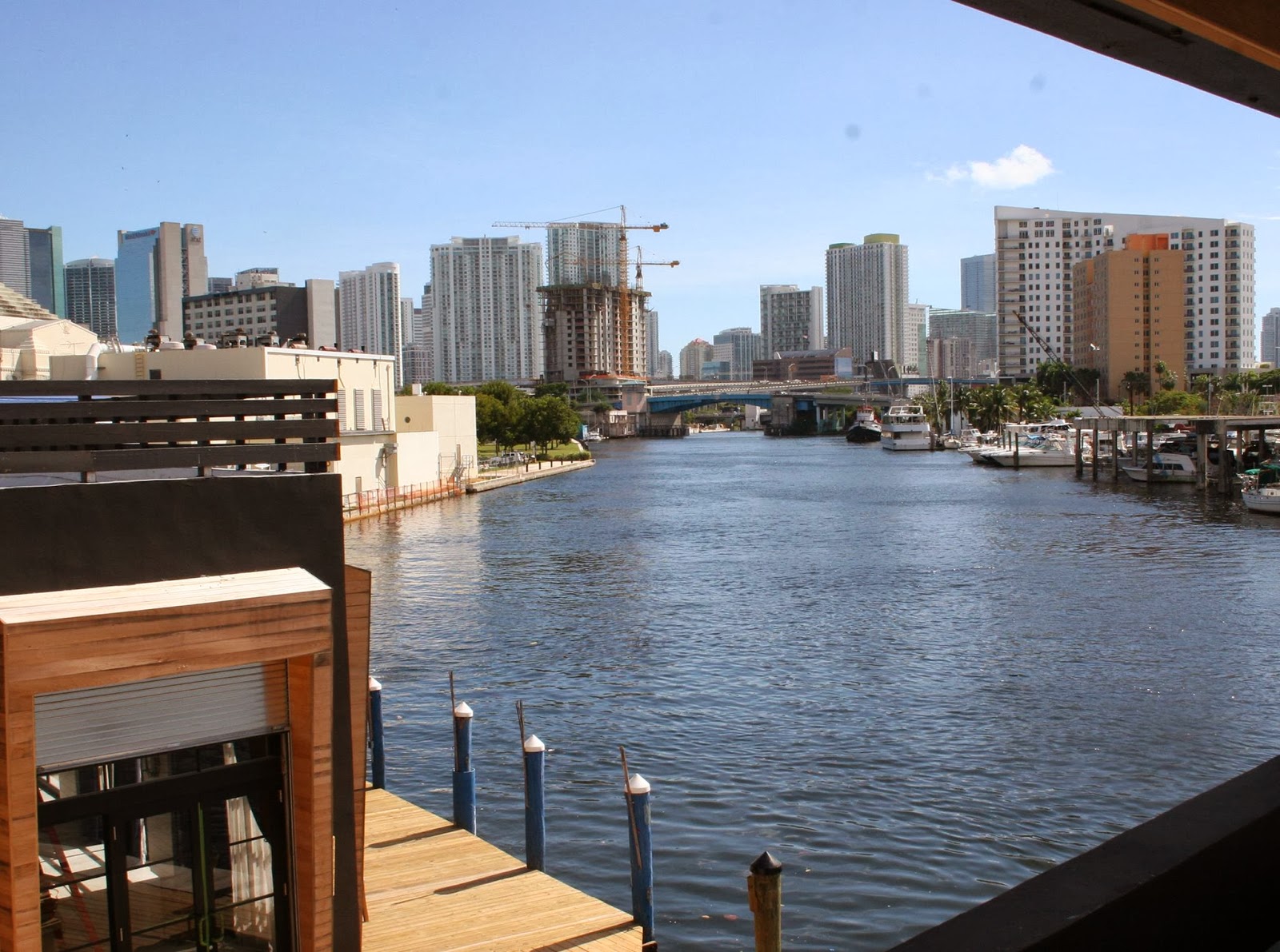 Viva Miami Seasalt & Pepper Miami