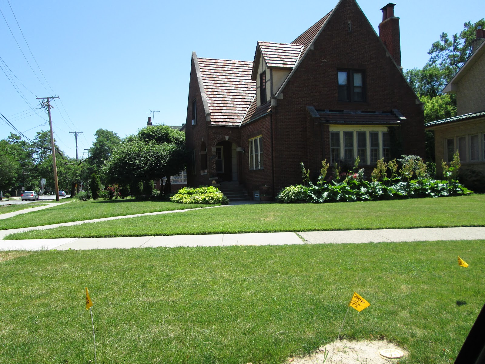 Chicago City of Big Shoulders Nice Buildings in Park