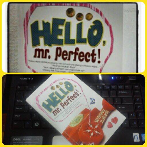 Hello, Mr. Perfect!
