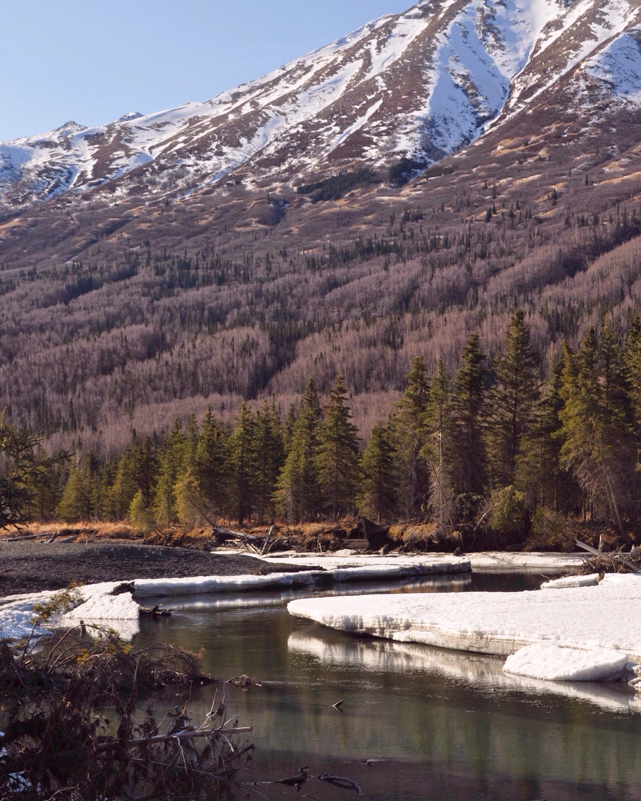 Heart Alaska: North Fork Eagle River Trail