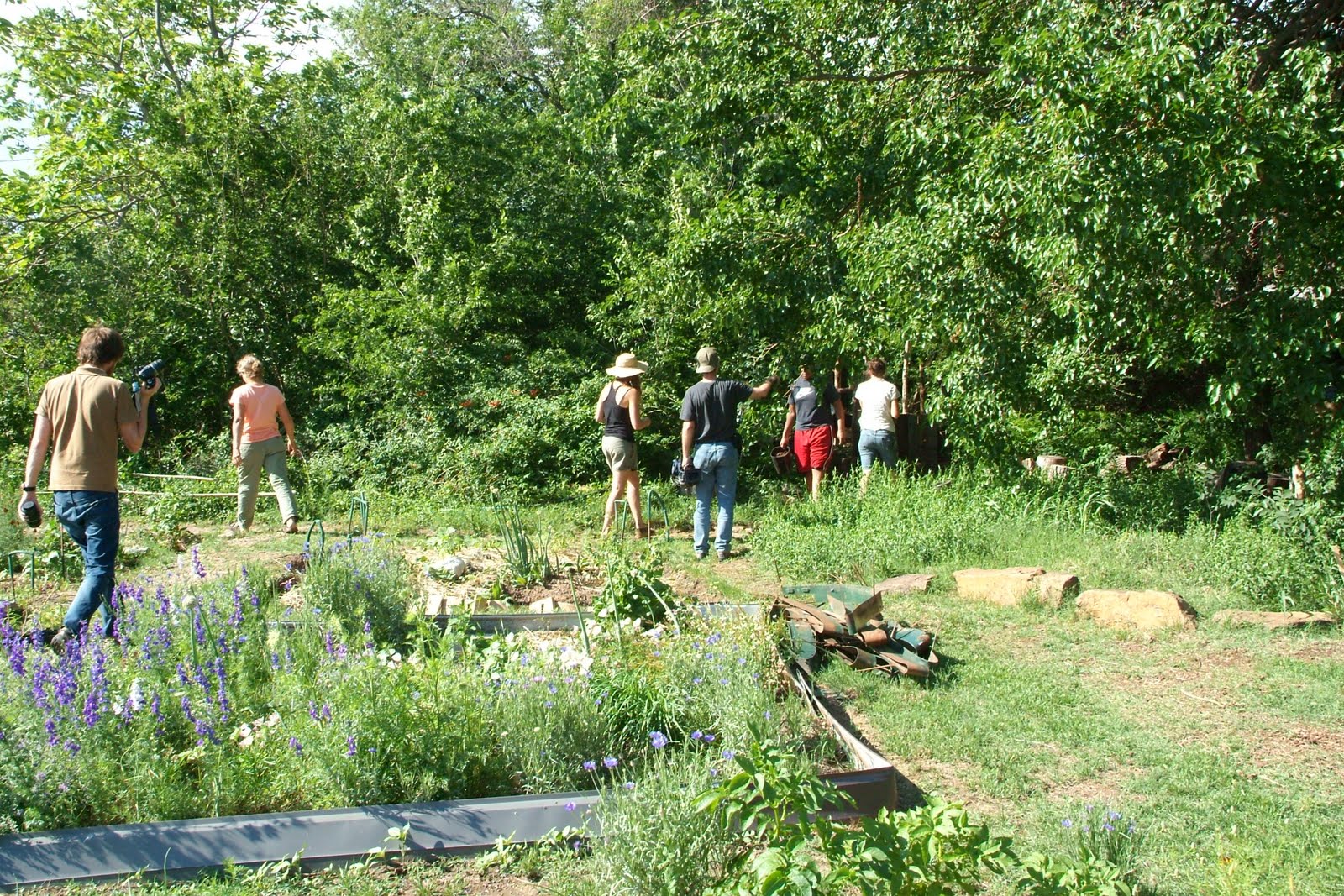 French Intensive Gardening