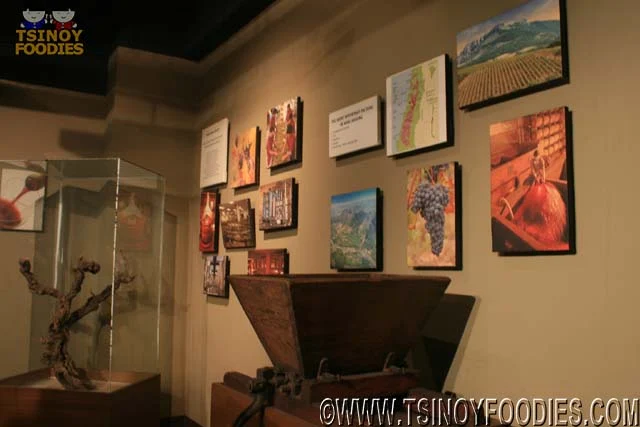 wine museum wine museum
