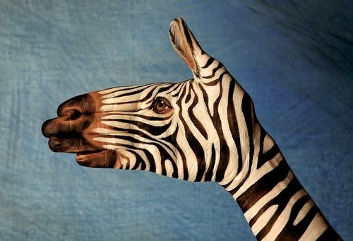 22-Zebra-On-Blue-Guido-Daniele-Painting-Animals-on-Hands-www-designstack-co