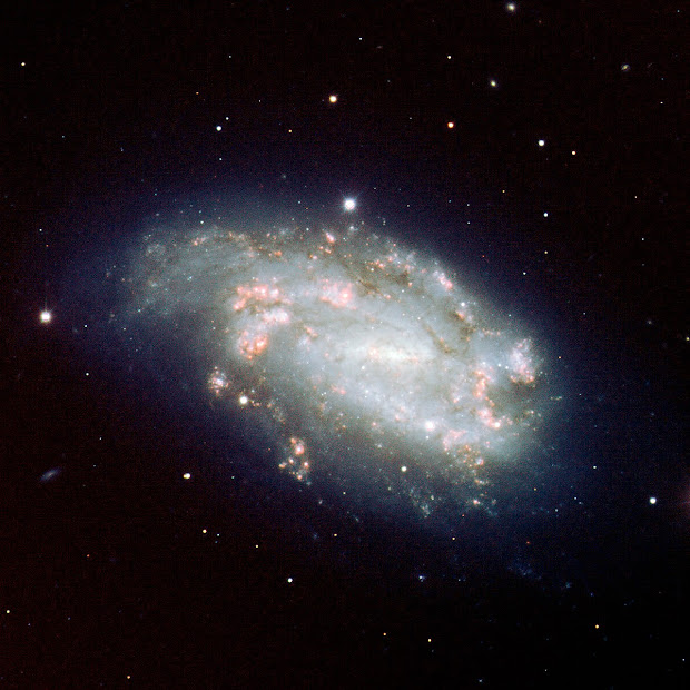 Beautiful Spiral Galaxy NGC 1559 and bright Supernova SN 2005df