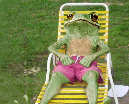 Funny-Frog-Relix.jpg