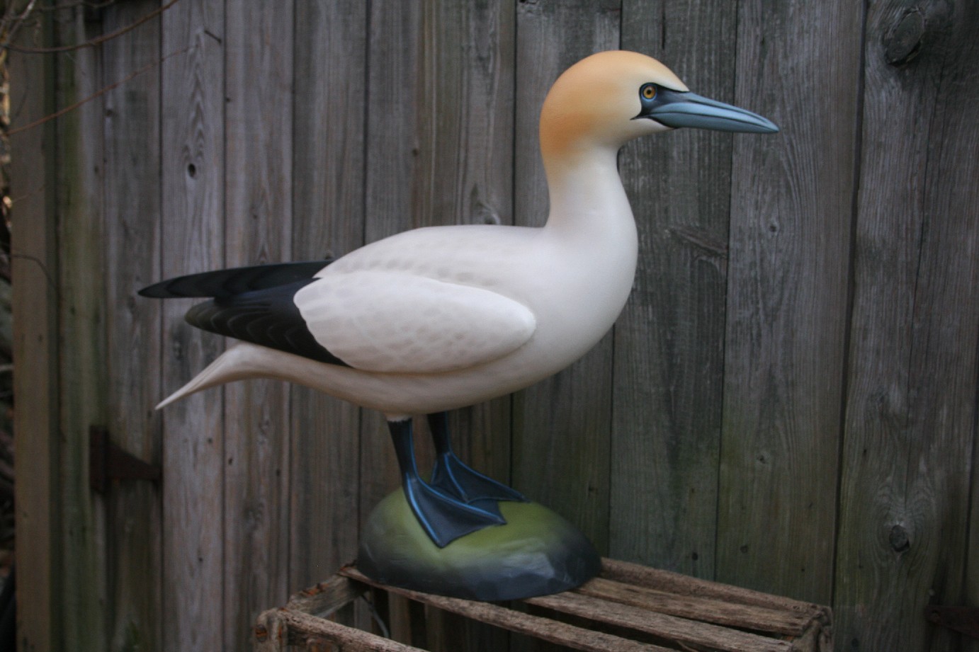 Keith Mueller Bird Carvings Sea Bird Decoys 1 (Test)