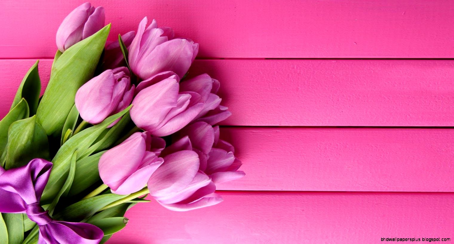 Pink Tulips Live Wallpaper Android Apps on Google Play Pink Tulips Live Wallpaper Android Apps on Google Play