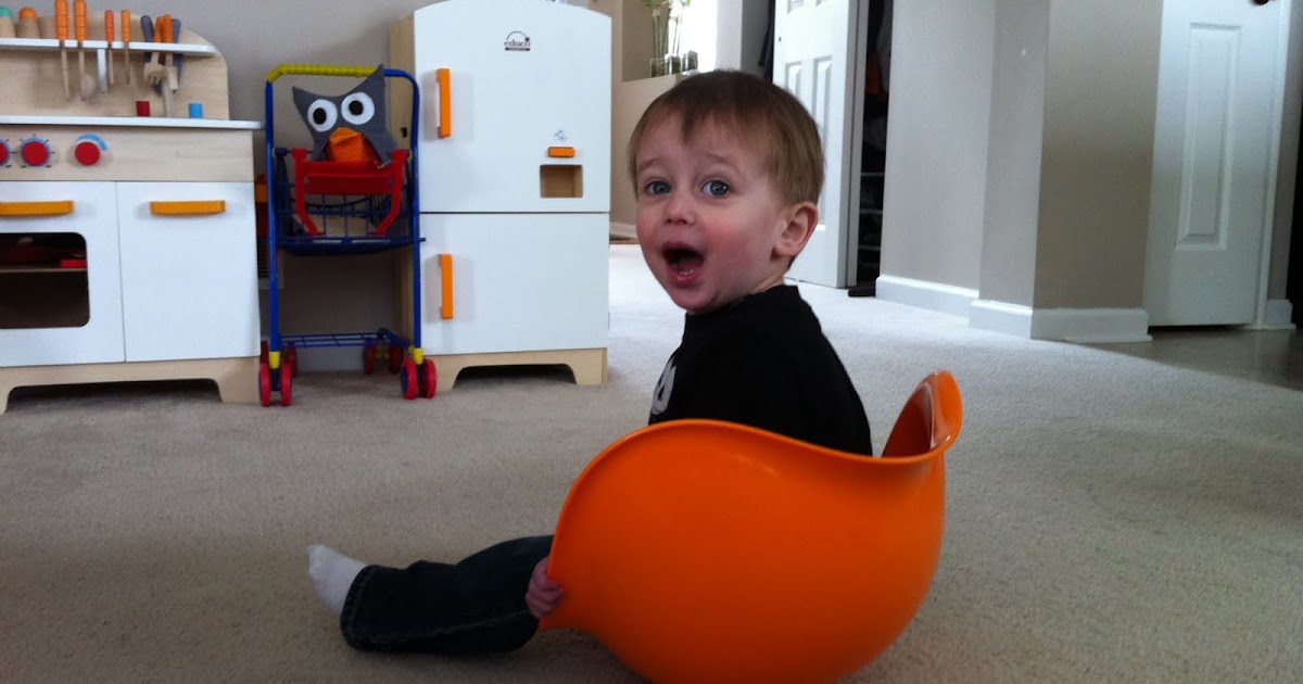 everywhere orange Orange Bilibo