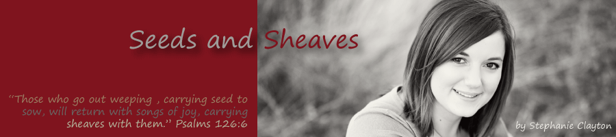Seeds and Sheaves