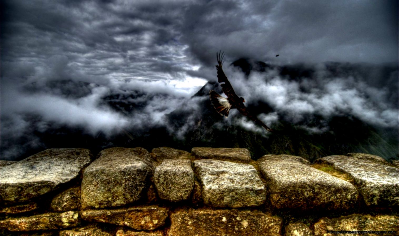 Gallery Popular Screensavers My Desktop Wallpaper Free Best Hd Gallery Popular Screensavers My Desktop Wallpaper Free Best Hd