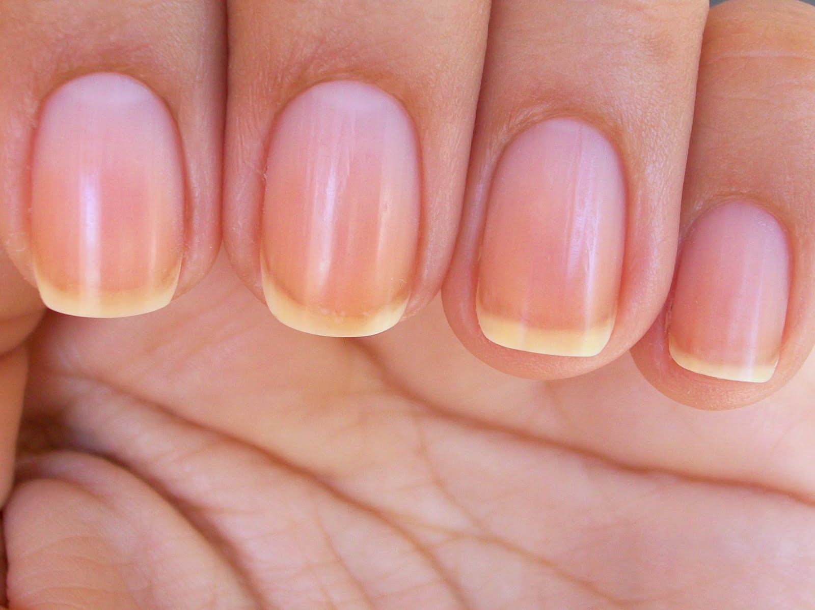 7. "Natural Nails: Embracing Your Bare Nails for a Chic Summer 2024 Look" - wide 1