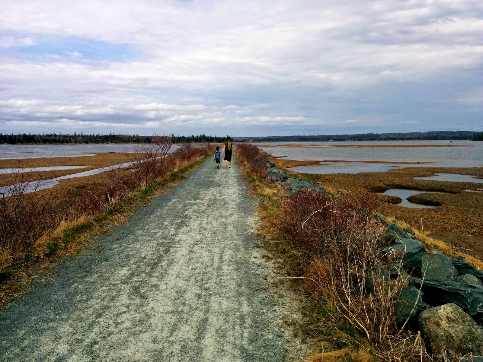 MARITIME OUTDOOR FAMILY The Outdoor Enthusiast's Causeway Salt Marsh