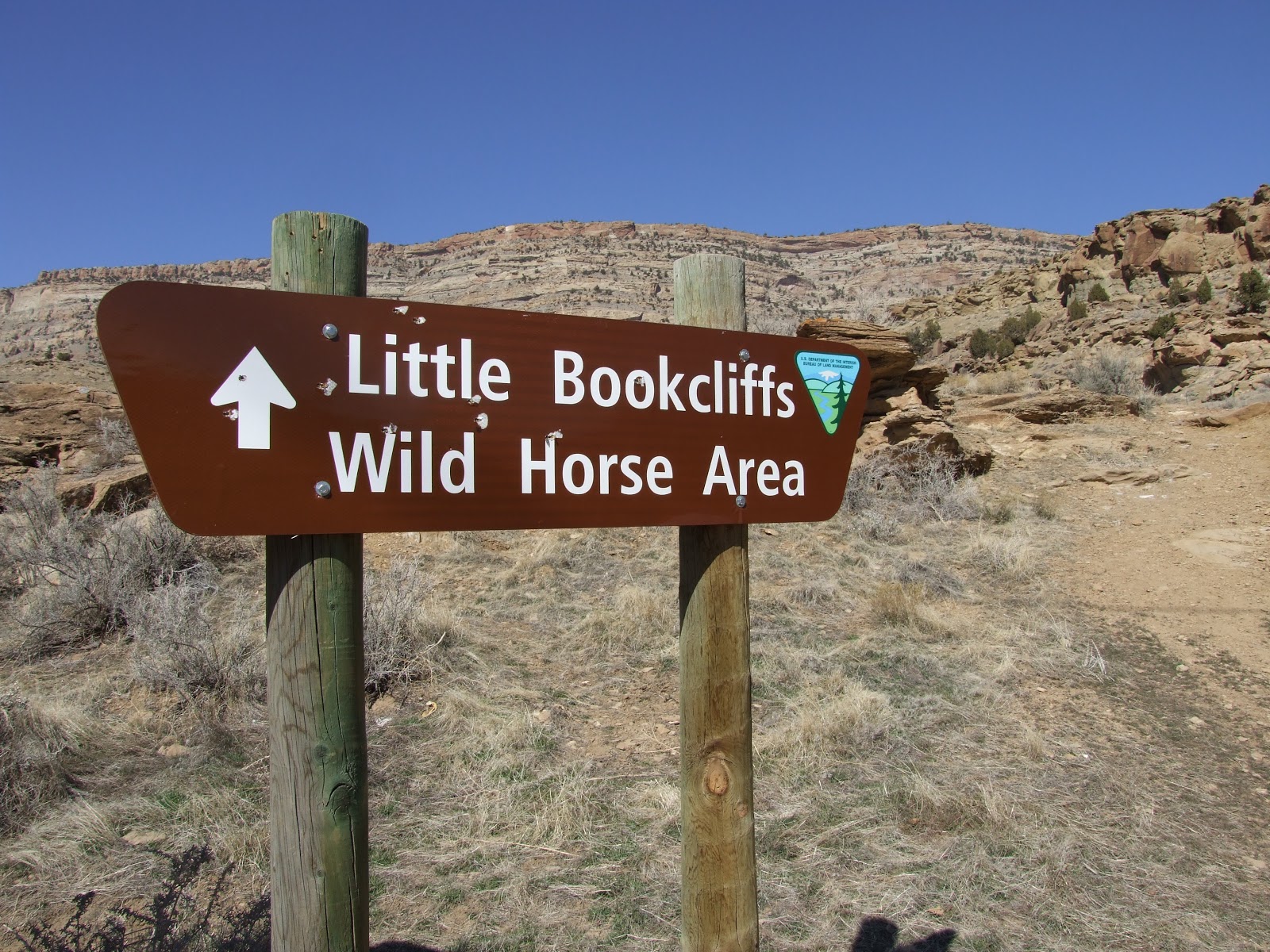 Skunk Tracks Little Bookcliff Wild Horse Area near Palisade.