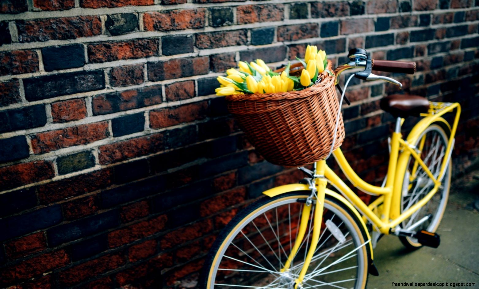 Bike Flowers Yellow Tulips Spring Hd Wallpaper Best Desktop Bike Flowers Yellow Tulips Spring Hd Wallpaper Best Desktop