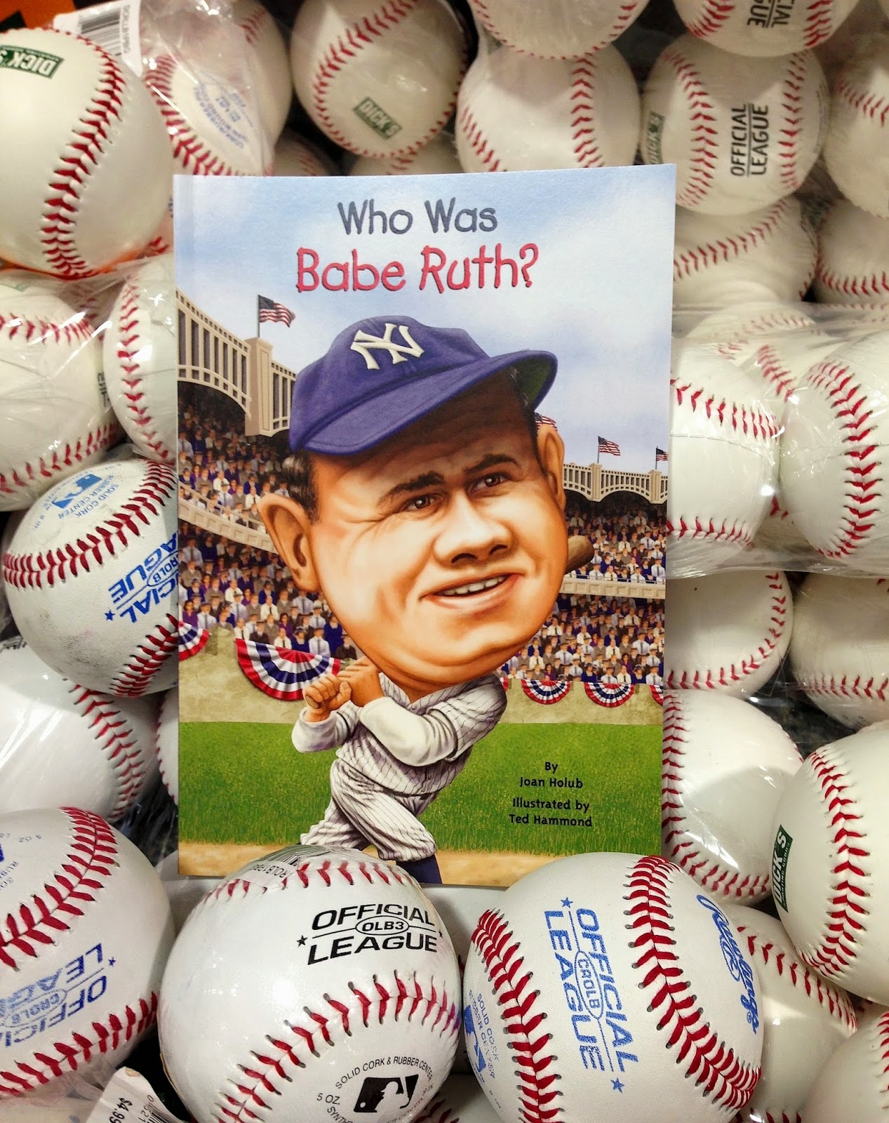 Babe ruth book report ideas image