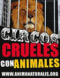 Circo sin animales