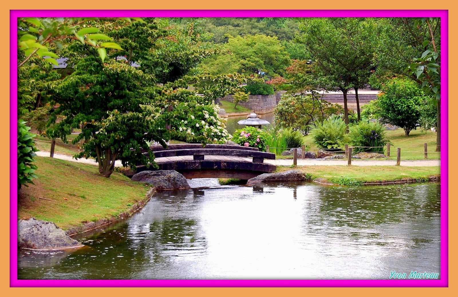 Yvon Photographie Hasselt jardin japonais.