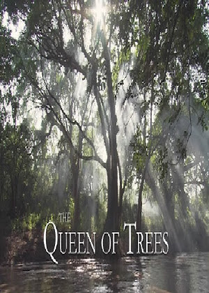 Nữ Hoàng Các Loài Cây Ở Phi Châu - Nature The Queen of Trees (2006) Vietsub 110