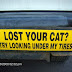 Μήπως χάσατε τη γάτα σας;