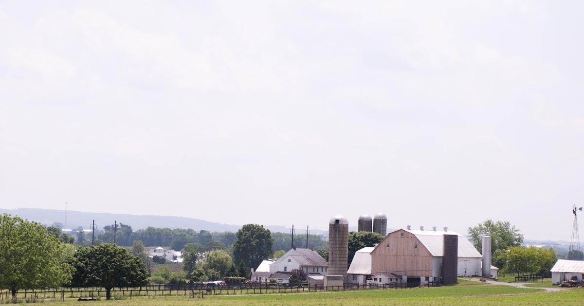 EspressoJoy Lancaster, PA Amish Country