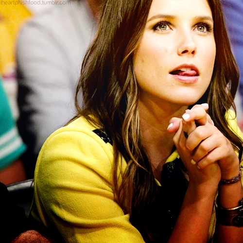 Sophia Bush