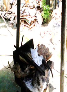 Cuba Independiente y Democrática: No tiene baño, el piso es de tierra