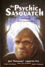 Researcher claims ‘Sasquatch’ are advanced human-type beings with UFO connections