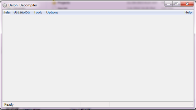 Program Decompiler Delphi