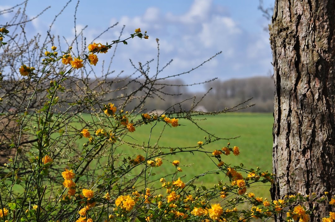 Jardin de la Sauvagine