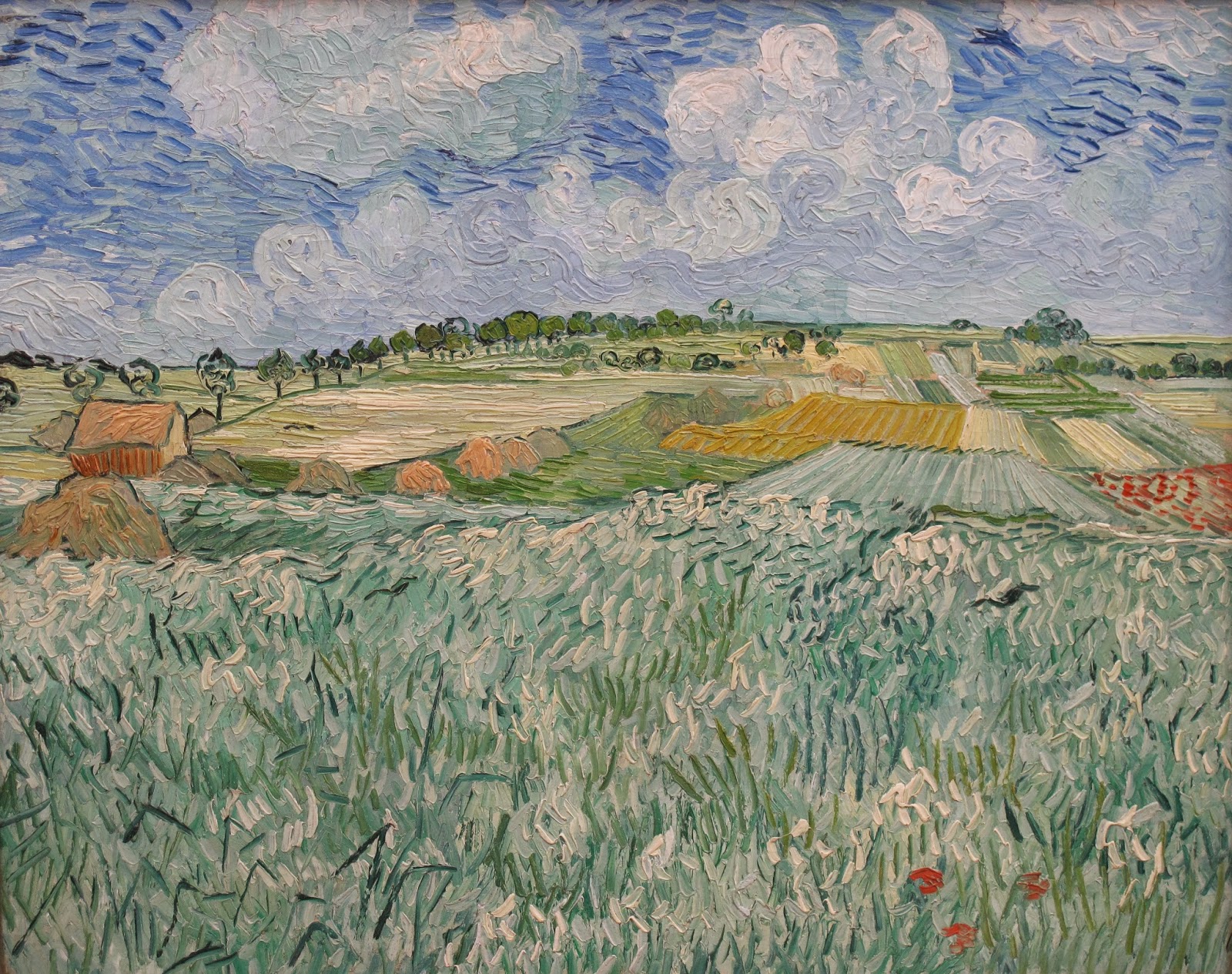 Vincent van gogh Nature High resolution Art photos museum quality images