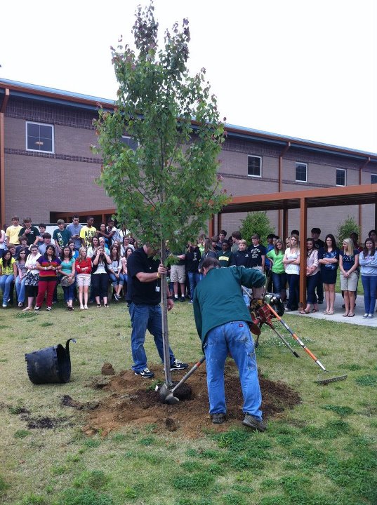 Helena Middle School