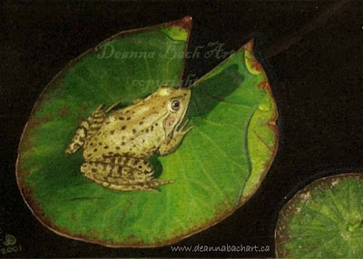 Frog by Deanna Bach-Talsma