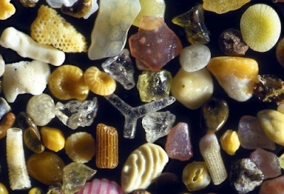 Microscopic magnification of sand
