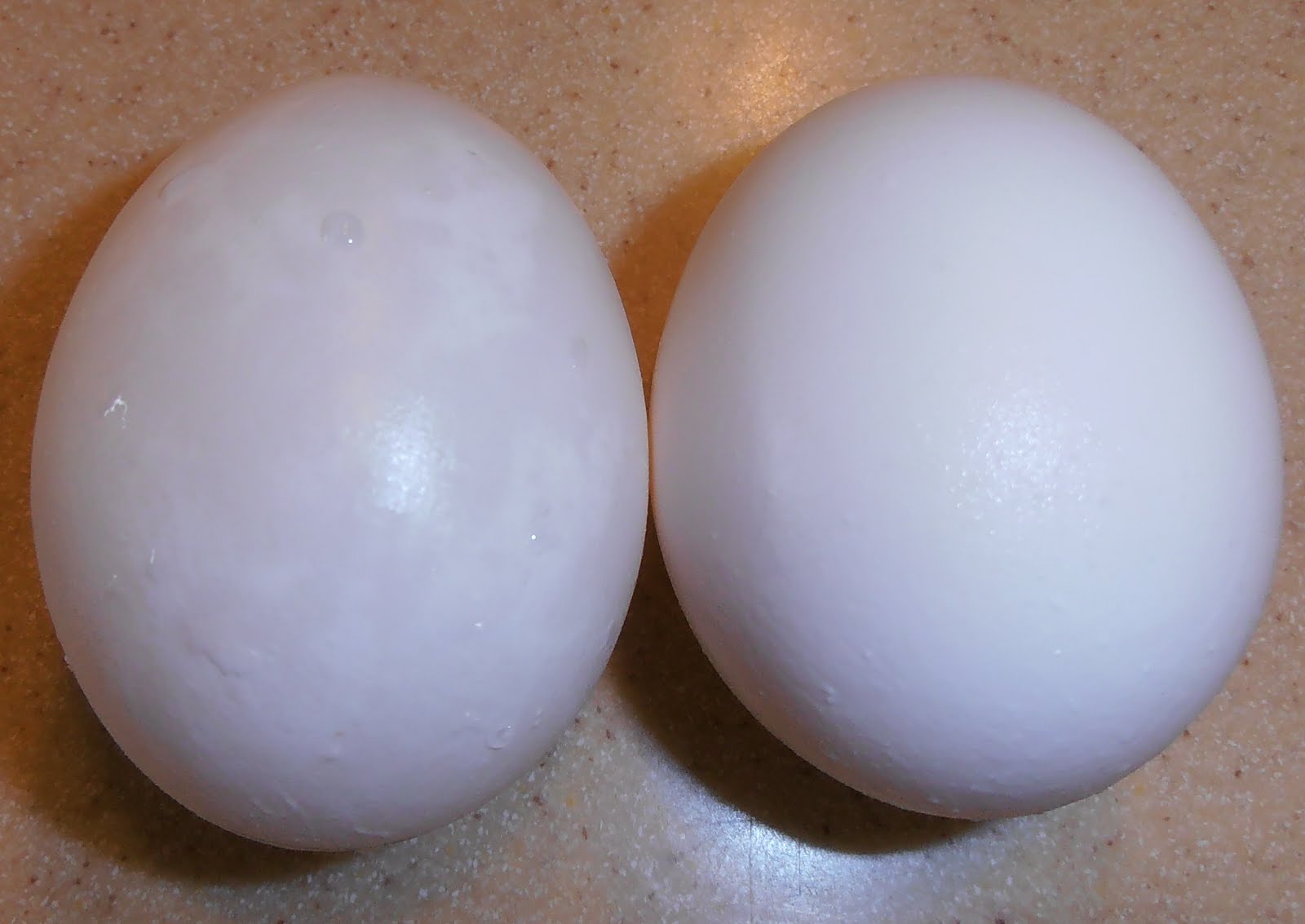 Goode Eates Egg Preservation Month Two