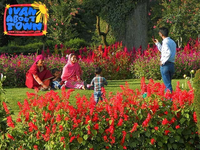 mughal gardens in kashmir The mughal gardens draw its inspiration from the mughal gardens of jammu and kashmir, taj mahal and even paintings of india and persia sir edwin lutyens. mughal gardens in kashmir The mughal gardens draw its inspiration from the mughal gardens of jammu and kashmir, taj mahal and even paintings of india and persia sir edwin lutyens.