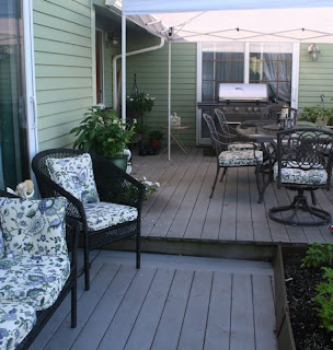 Our Garden Journal: August 2011