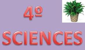 4º SCIENCES