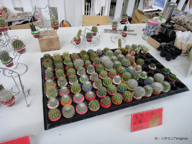 宜蘭｜香草菲菲在玻璃花園浪漫用餐的體驗/吃buffet/賞花草