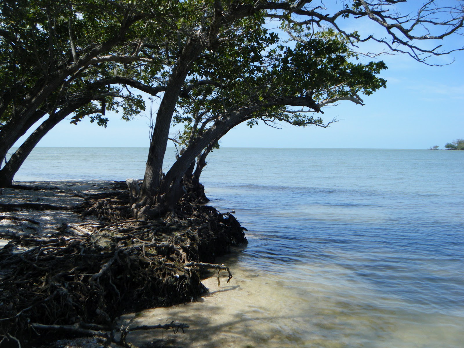 KULEANA ADVENTUES Ten Thousand Islands and Goodland Florida