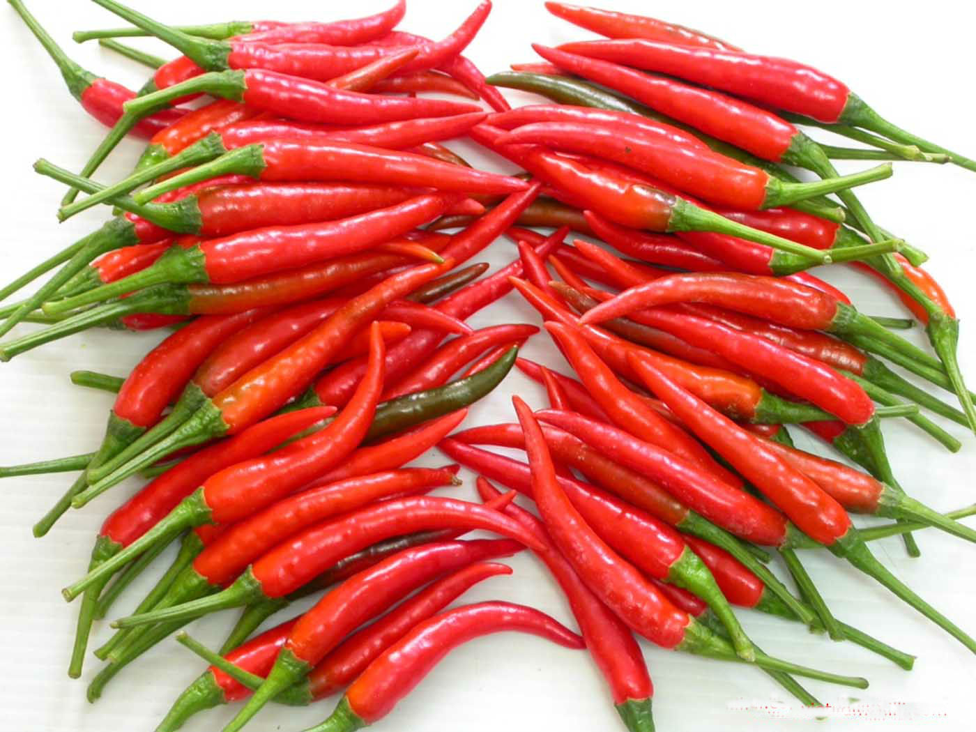 VIETNAM SPECIAL FOOD RED CHILLIHottest Spice for Tasty Repast