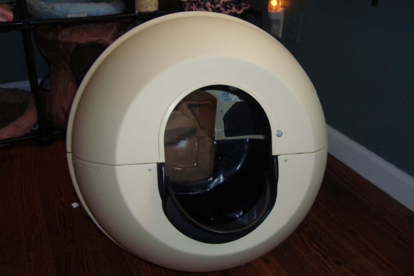 Trying To Go Green Litter Robot Review