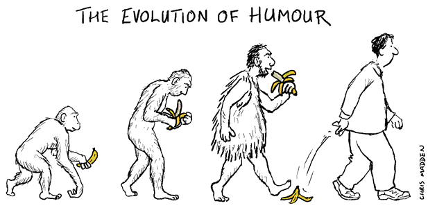 evolution-of-humour.gif
