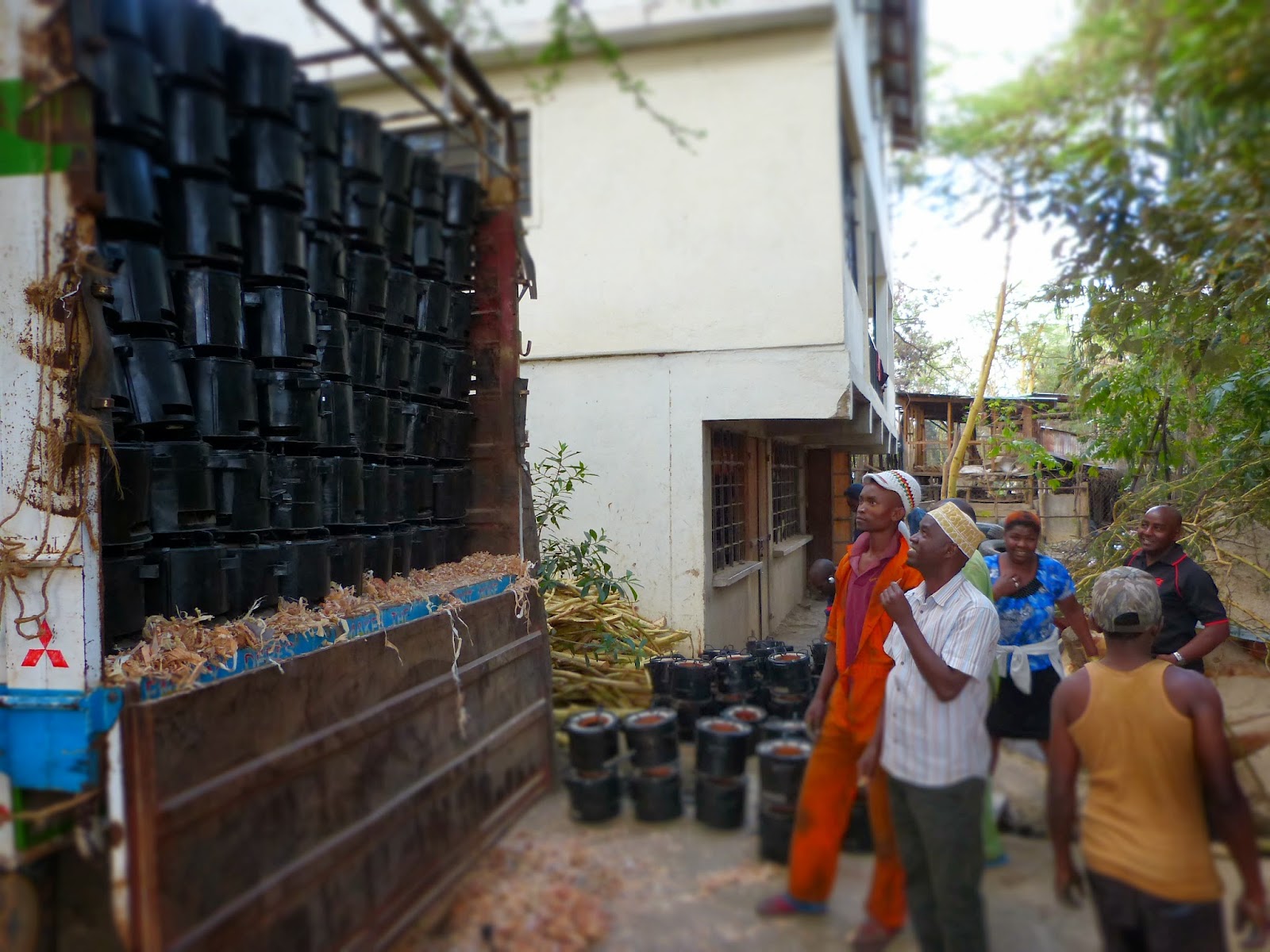 Renewable Energy Solutions Kenya The Kuni Mbili Two Sticks of