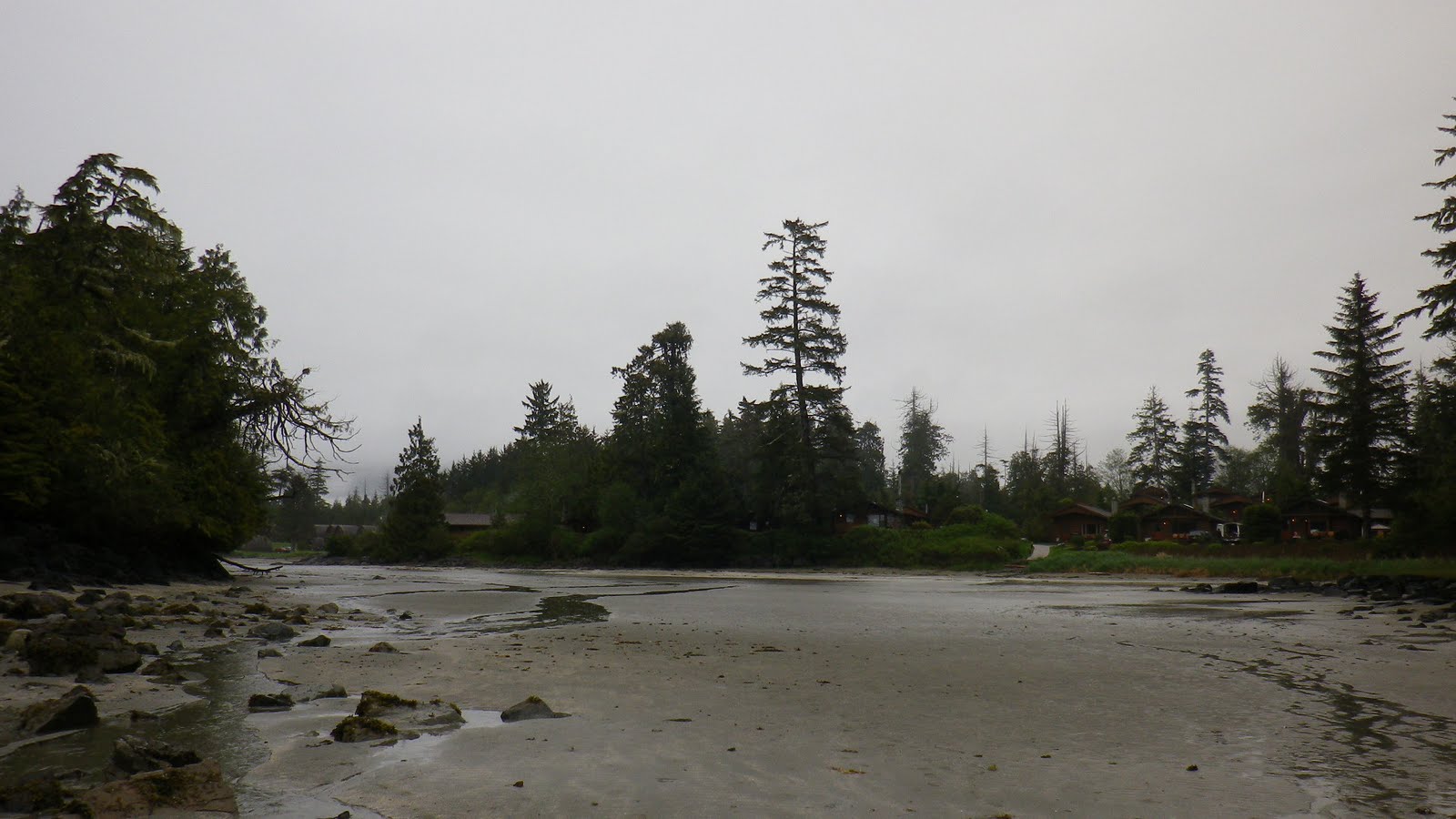IMGP0297.JPG