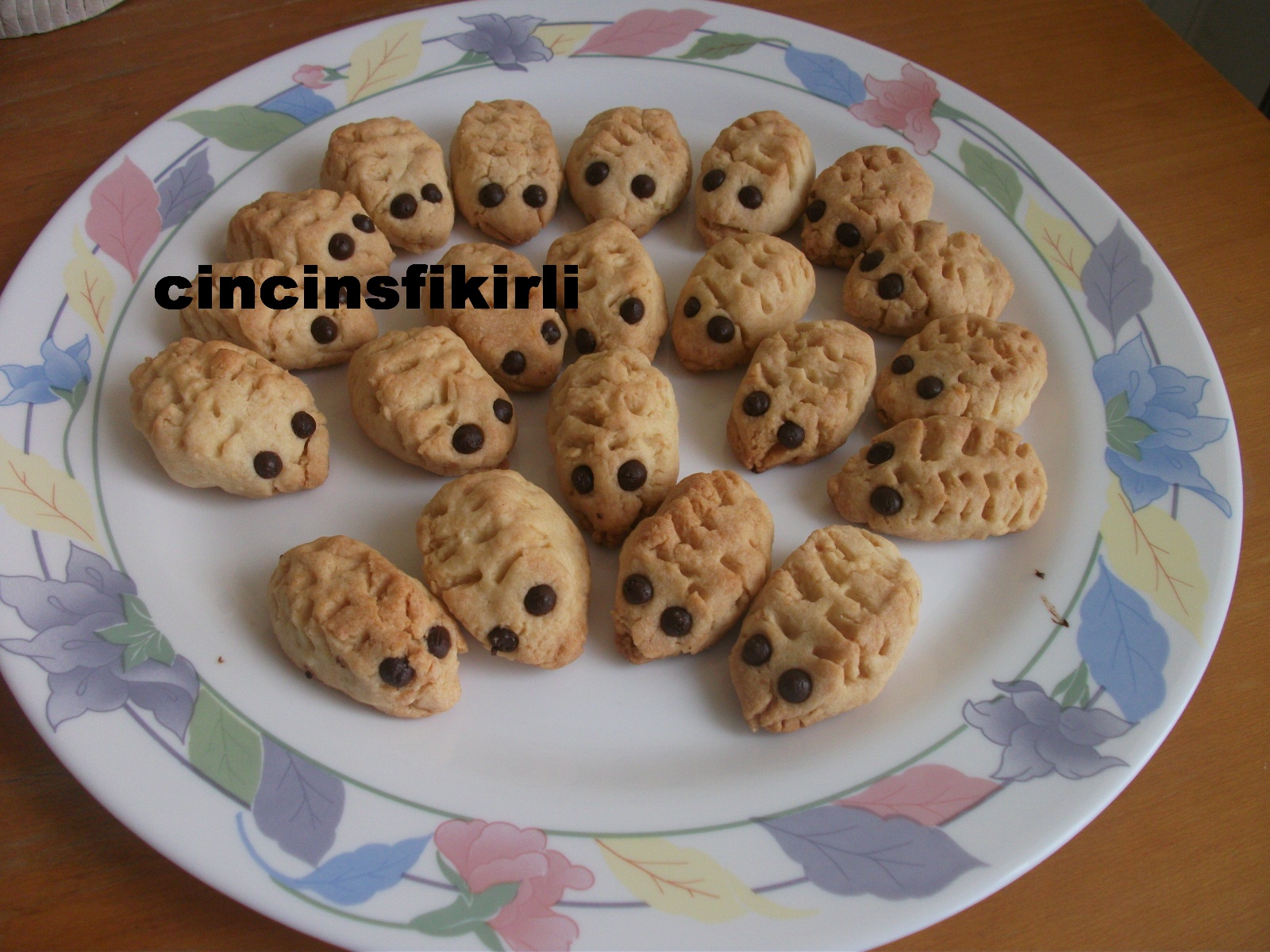 Cincinsfikirli KİRPİ KURABİYELER
